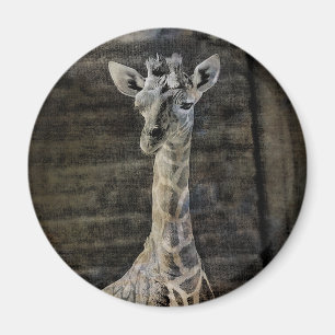 Baby Giraffe Magnet