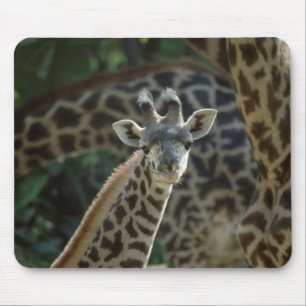 Baby Giraffe Mouse Pad