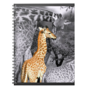 Baby Giraffe Notebook