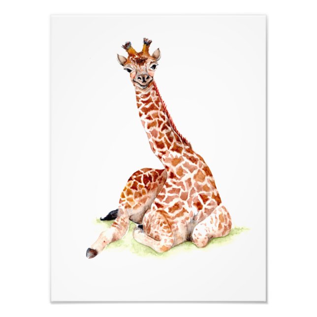 Baby Giraffe Photo Print (Front)