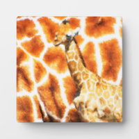 Baby Giraffe