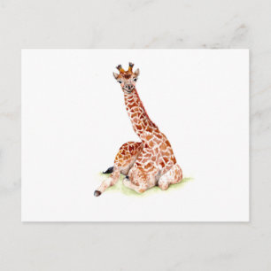 Baby Giraffe Postcard