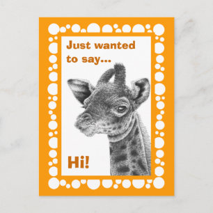 Baby Giraffe Retro Circles Postcard