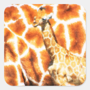 Baby Giraffe Square Sticker