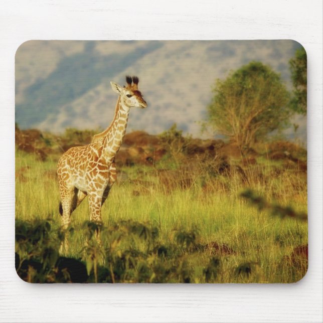Baby giraffe wildlife mousepads (Front)