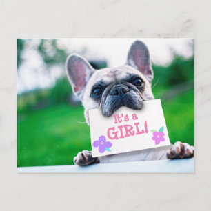 Baby Girl Announcement With Dog Custom Postcard