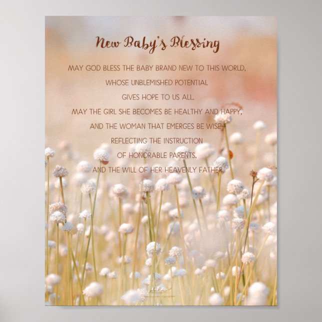 Baby Girl Blessing Wall Decor (Front)