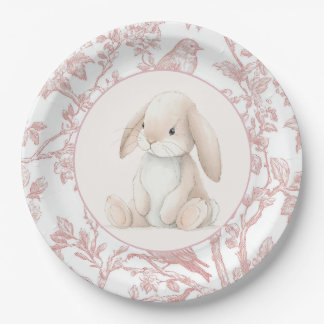 Baby Girl First Birthday Party Paper Plates