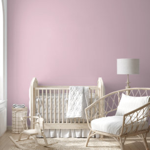 Baby Girl Nursery/Butterflies Wallpaper