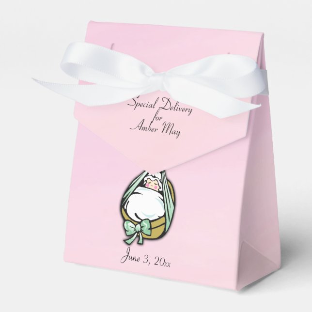 Baby Girl Shower Cute and Fun Delivery Stork Favour Box (Front Side)