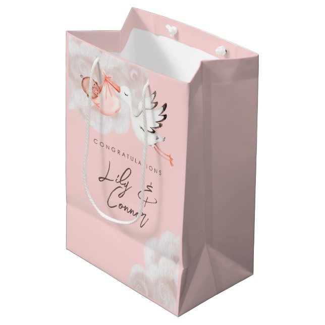 Baby Girl Shower Gift Bag (Front Angled)