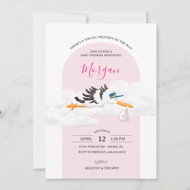 Baby Girl Special Delivery Stork Baby Shower Invitation (Front)