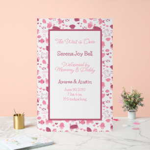 Baby Girl Welcome Sign