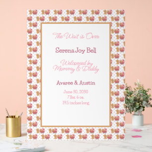 Baby Girl Welcome Sign