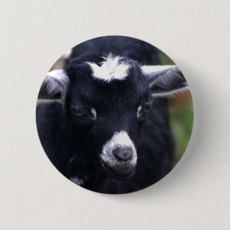 Baby Goat 6 Cm Round Badge