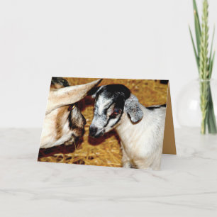 Baby Goat and Mum - Blank Greeting Card