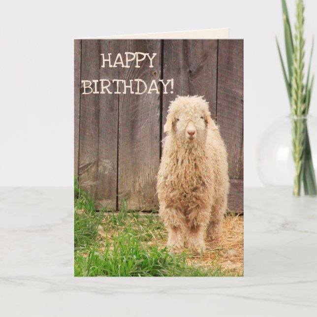 Baby Goat Birthday Card (Front)