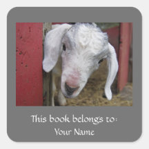 Baby Goat Bookplate
