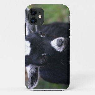 Baby Goat Case-Mate iPhone Case