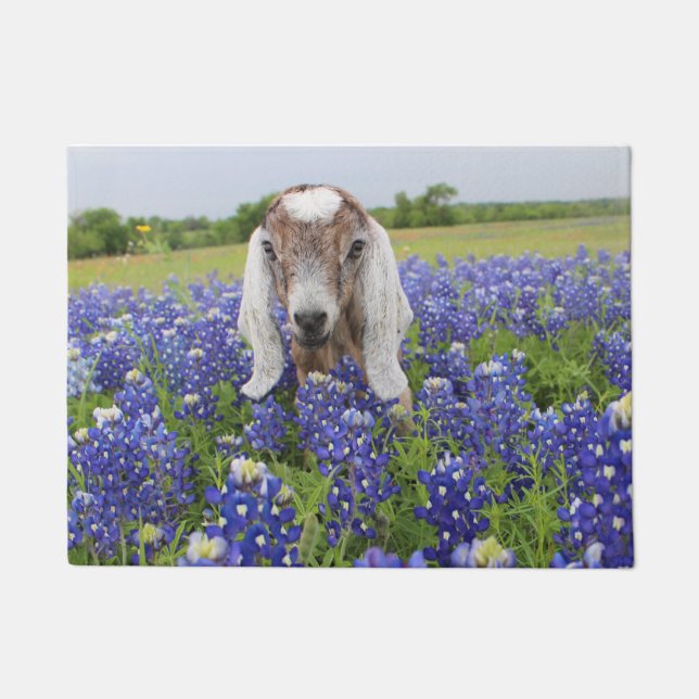 Baby Goat Doormat (Front)