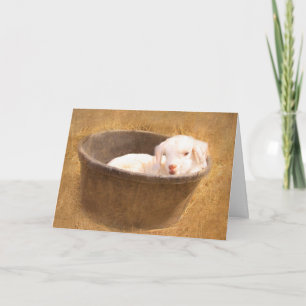 Baby Goat In A Bucket Birthday Card