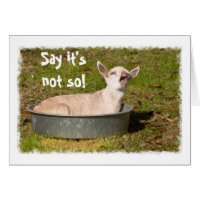 Baby Goat in a Pan Greeting Card