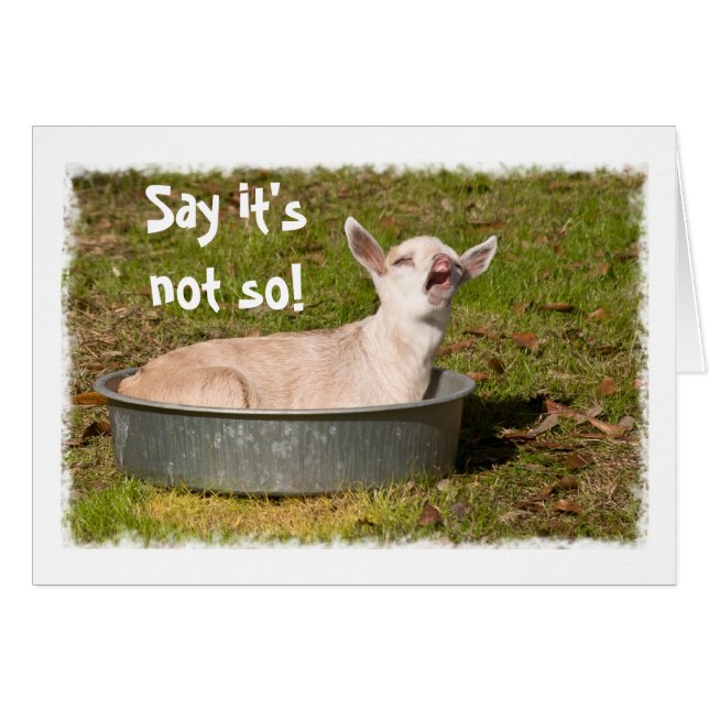 Baby Goat in a Pan Greeting Card (Front Horizontal)
