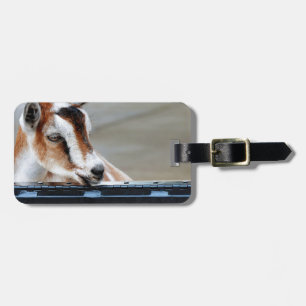 Baby Goat Luggage Tag