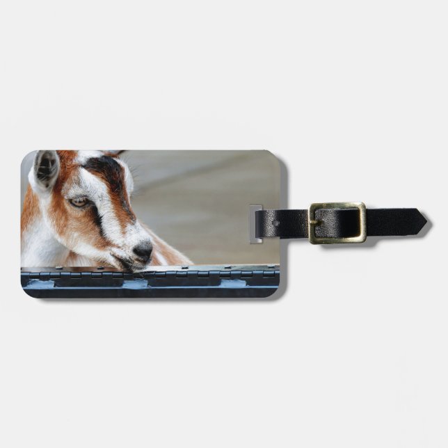 Baby Goat Luggage Tag (Front Horizontal)