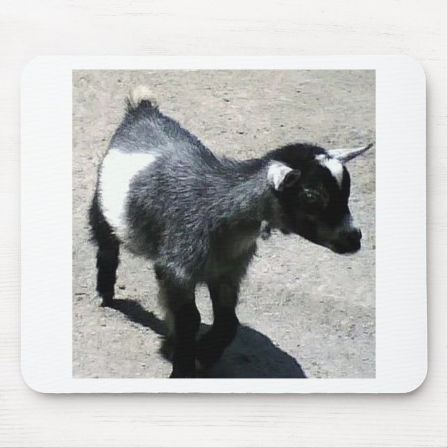 Baby Goat Mouse Pad (Front)
