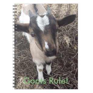 Baby Goat Notebook
