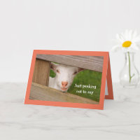 Baby Goat Poetry Birthday Card