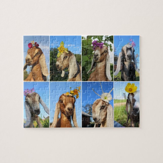 Baby Goat Puzzle (Horizontal)