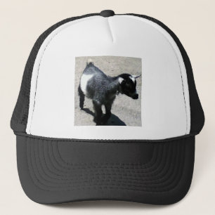 Baby Goat Trucker Hat
