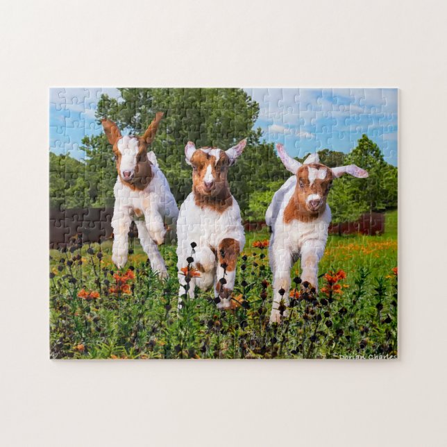 "Baby Goats" Puzzle (Horizontal)