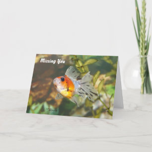 Baby Goldfish Missing you Greeting Card