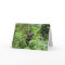 Baby Gorilla (2035)  - Birthday Card