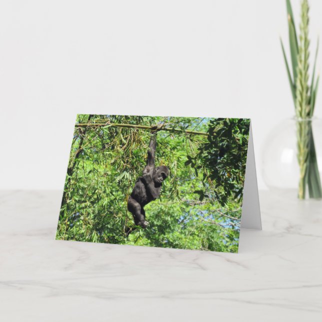 Baby Gorilla (2035)  - Birthday Card (Front)