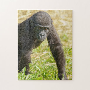 Baby Gorilla Jigsaw Puzzle