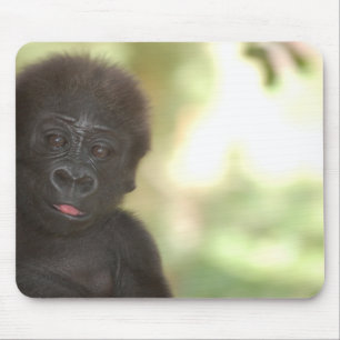 Baby Gorilla Mousepad