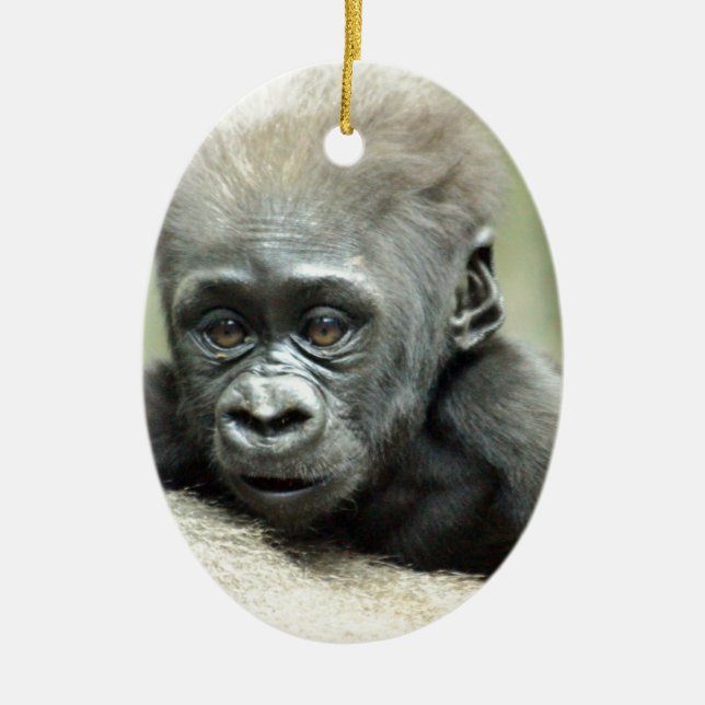 BABY GORILLA RELAXING CERAMIC TREE DECORATION (Front)