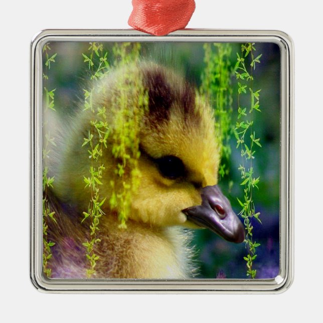 Baby Gosling Ornament (Front)