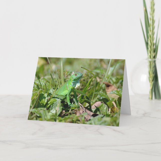 Baby Green Card (Front)