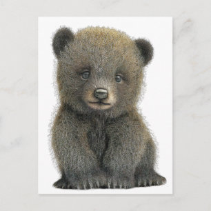 Baby grizzly bear POSTCARD