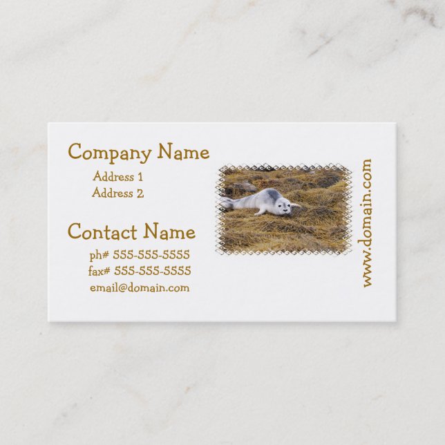 Baby Harbour Seal Business Cards (Front)