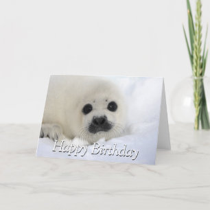 Baby Harp Seal Card