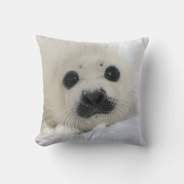 Baby Harp Seal Cushion (Front)
