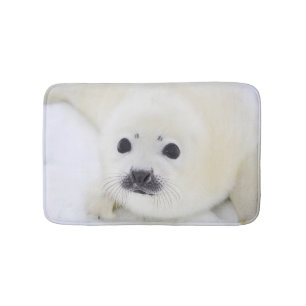 Baby harp seal pup on ice of the White Sea Bath Mat