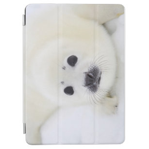 Baby harp seal pup on ice of the White Sea iPad Air Cover