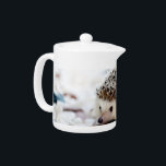 Baby Hedgehog<br><div class="desc">Sweet baby hedgehog walking on a white tile.</div>